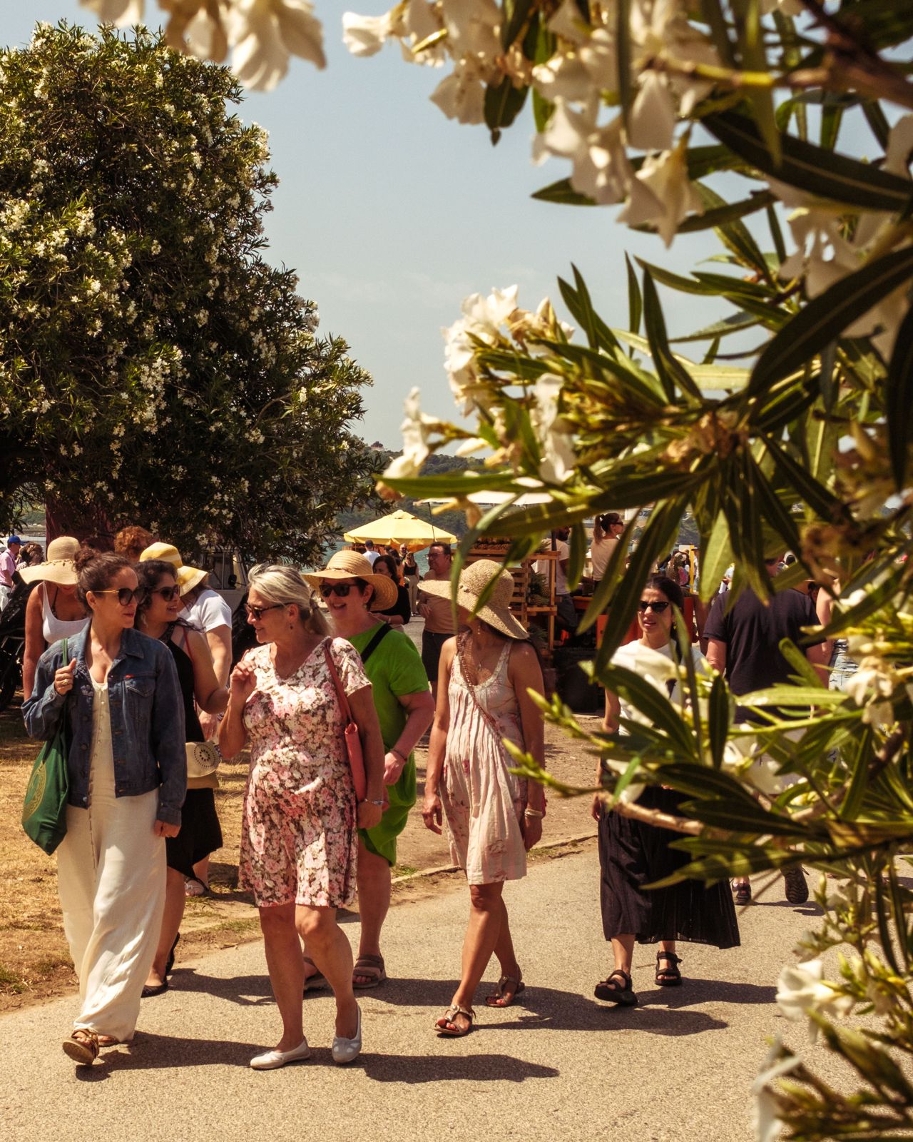 Nervous System Regulation in Community